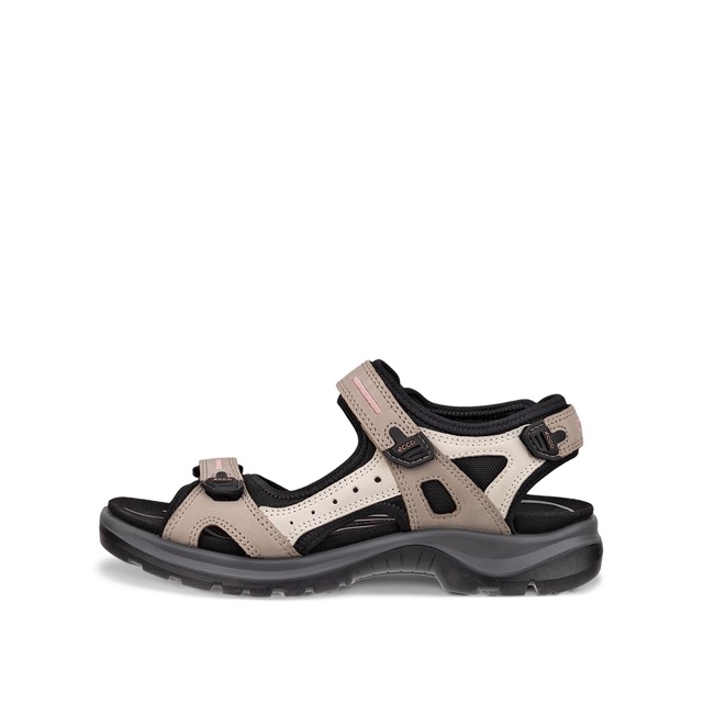 Ecco Offroad 
