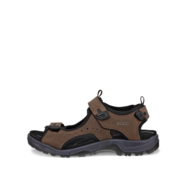 Ecco Offroad Andes