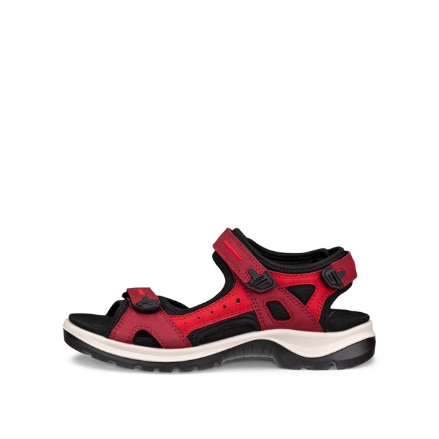 Ecco Offroad 